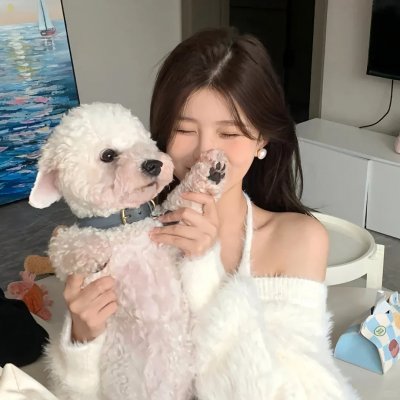 菊花香
